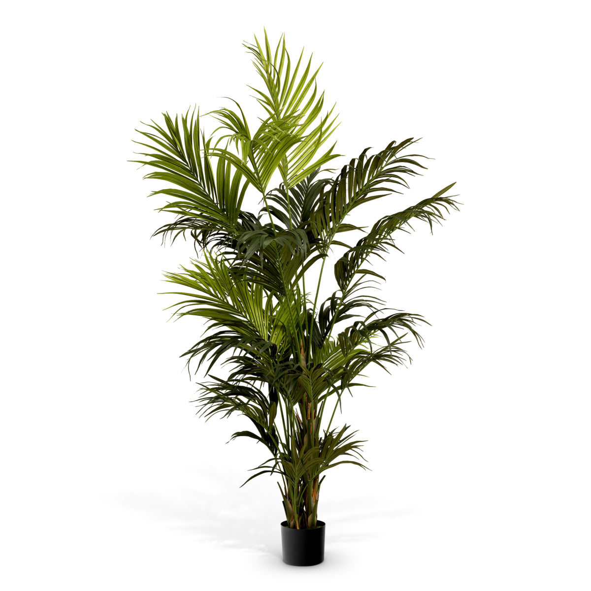 Artificial Plant Kentia Palm