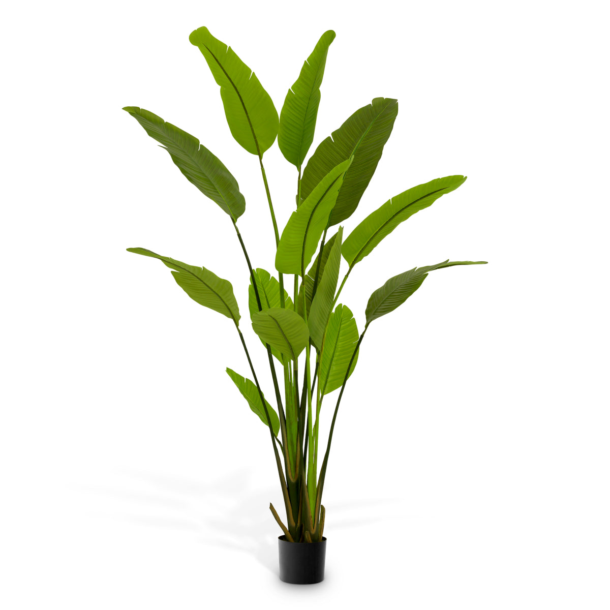 Artificial Plant Strelitzia M