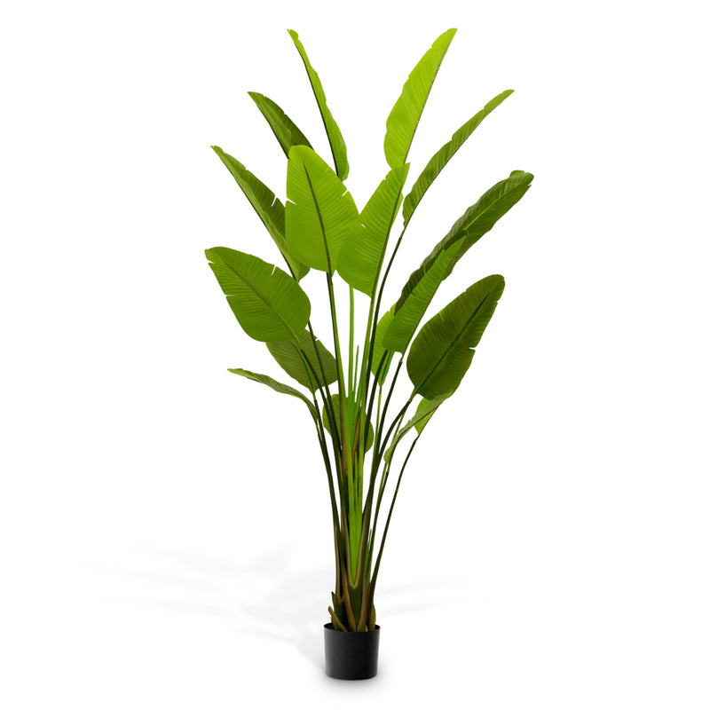 Artificial Plant Strelitzia L