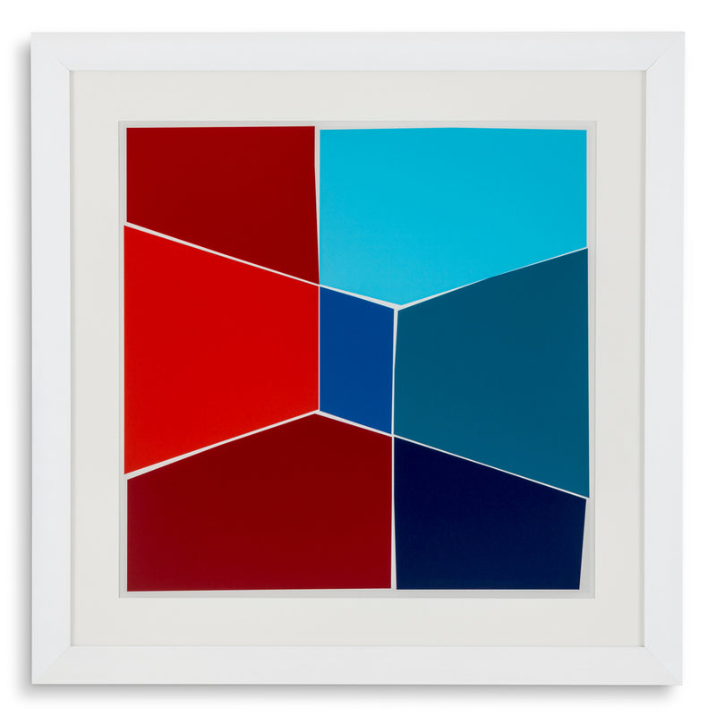 Print Silkscreen from Boissière II by Henri Boissi