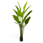 Artificial Plant Strelitzia L