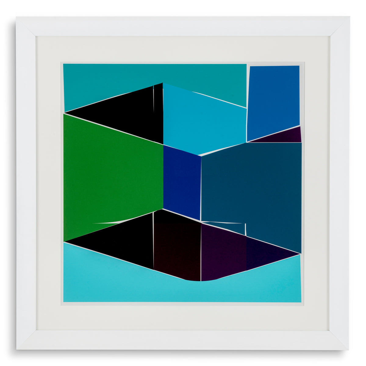 Print Silkscreen from Boissière I by Henri Boissiè