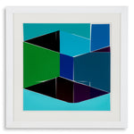 Print Silkscreen from Boissière I by Henri Boissiè