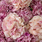 Bouquet of Hydrangeas real touch 48 pcs/2 varietie