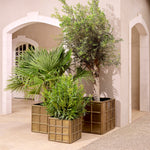 Planter Grid M