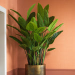 Artificial Plant Strelitzia M