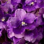 Bouquet of Vanda Orchids real touch 24 pcs