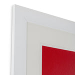 Print Silkscreen from Boissière II by Henri Boissi