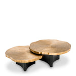 Coffee Table Thousand Oaks set of 2