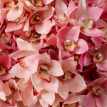 Bouquet of Cymbidium Orchids real touch 36 pcs