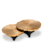 Coffee Table Thousand Oaks set of 2
