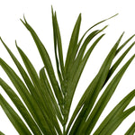 Artificial Plant Kentia Palm