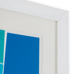 Print Silkscreen from Boissière I by Henri Boissiè