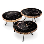 Coffee Table De Soto set of 3
