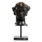 Head David