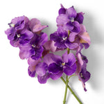 Bouquet of Vanda Orchids real touch 24 pcs