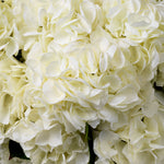Bouquet of Hydrangeas real touch 48 pcs/2 varietie