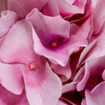 Bouquet of Hydrangeas real touch 48 pcs/2 varietie