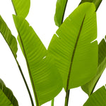 Artificial Plant Strelitzia L