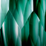 Vase Marquis