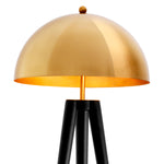 Floor Lamp Coyote