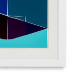 Print Silkscreen from Boissière I by Henri Boissiè