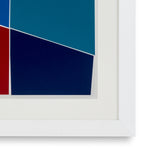Print Silkscreen from Boissière II by Henri Boissi
