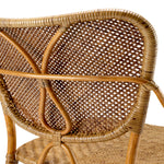 Dining Chair Colony