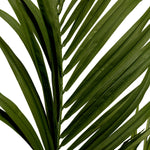 Artificial Plant Kentia Palm