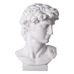 Head David