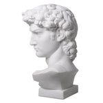 Head David