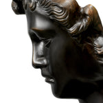 Head David