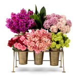 Display Rack Maison des Fleurs