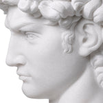 Head David