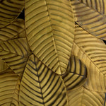 Coffee Table Botanico