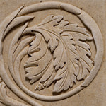 Object Acanthus