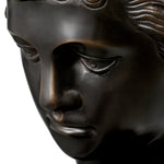 Head David