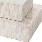 Box Scoop S