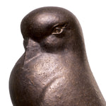 Bird Dove